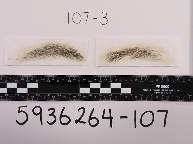 One of the sets of eyebrows seized from John Ibrahim's house in August, 2017.