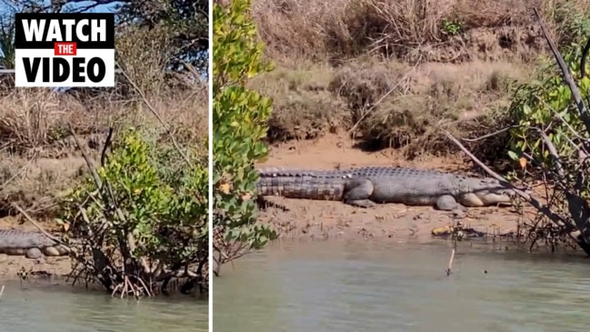 A 3.8m crocodile was caught at Saunders Beach