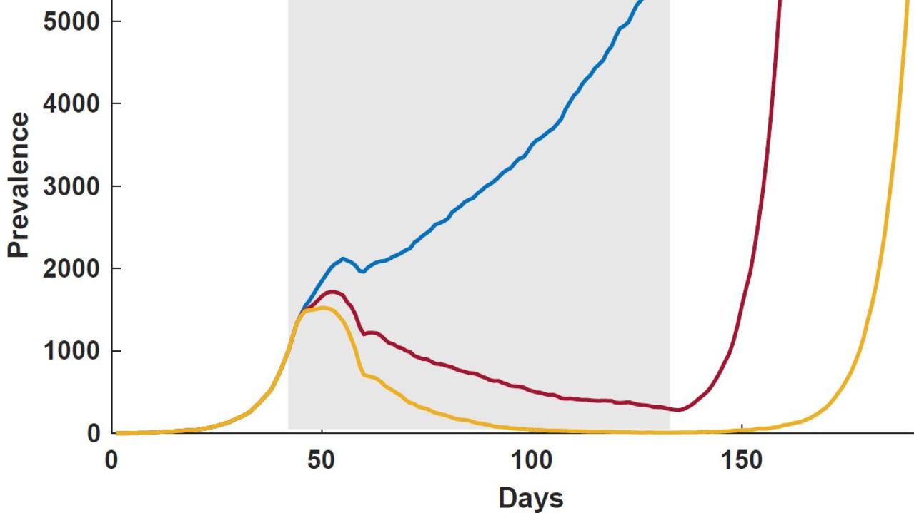 How coronavirus infections are predicted to change across three months (shaded in grey) depending on what percentage of the population stays at home. The blue line is the result when 70 per cent of Australians stay home, red shows 80 per cent and yellow shows 90 per cent. Source: University of Sydney