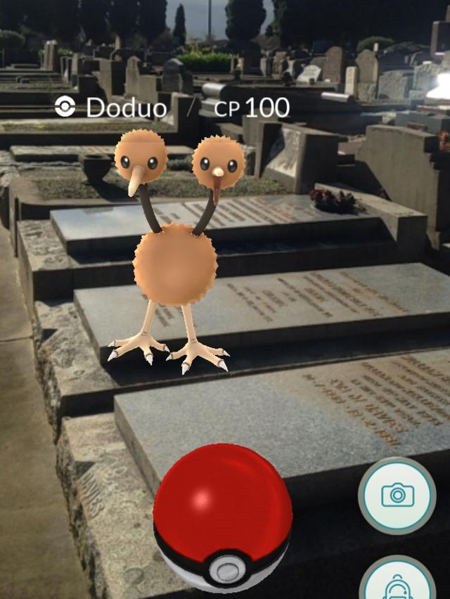 The augmented reality game encourages people to walk to new locations. Here a Doduo is found at Box Hill Cemetery.
