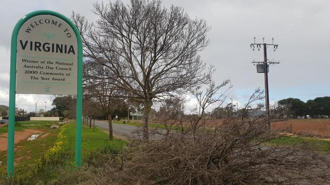 The main road into Virginia, north of Adelaide. Picture: Colin James