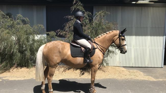 Gold standard: Samantha Richardson and Gold Play enjoying the sunshine at NVSJC spring show.