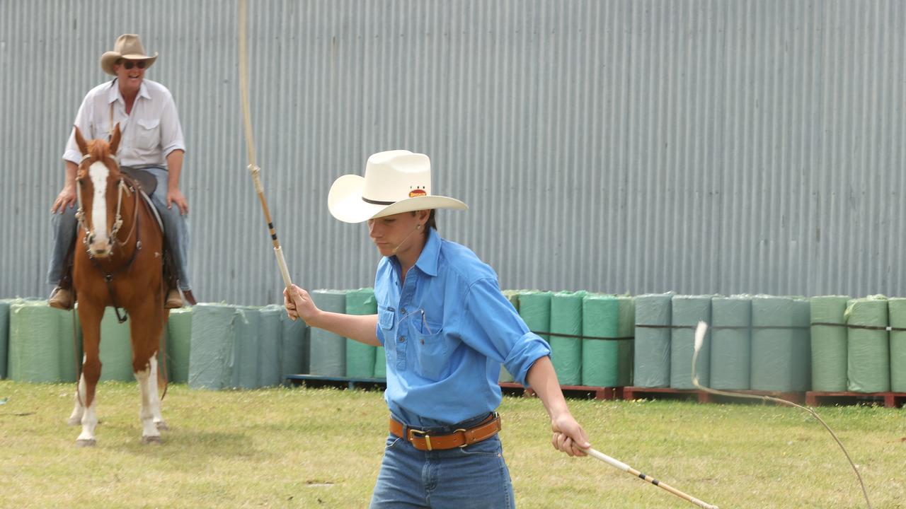 Jack the Whipper putting on a cracking display at the Geelong Show. Picture: Alison Wynd