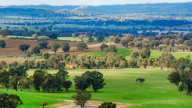 Green dream: TA Field Estates purchased the Aberfeldy property at Holbrook in NSW last year for more than $22 million.