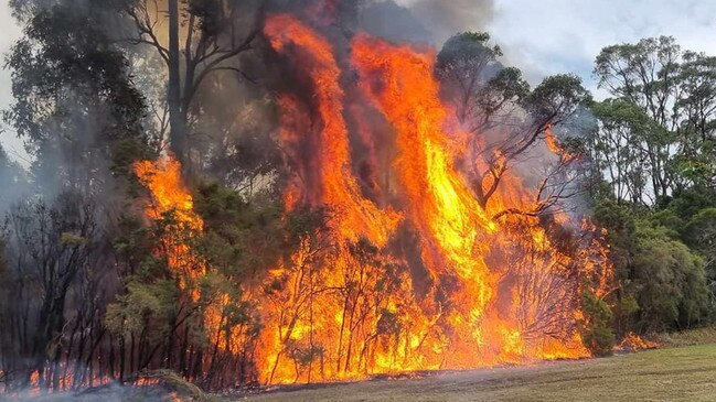 Three properties have already been lost in the blaze near the Bega Valley community of Bermagui. Picture: RFS NSW