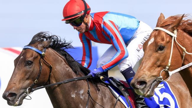 Broken Arrows has been well backed in race 3 at Gosford. Picture: Getty Images