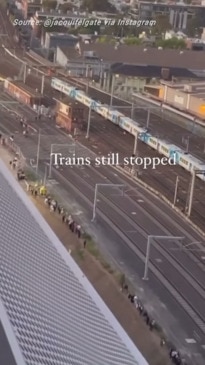 Stakes Day train chaos