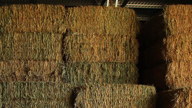 Hay Australia Victoria opened their Bridgewater facility in 2015. Picture: Aaron Francis