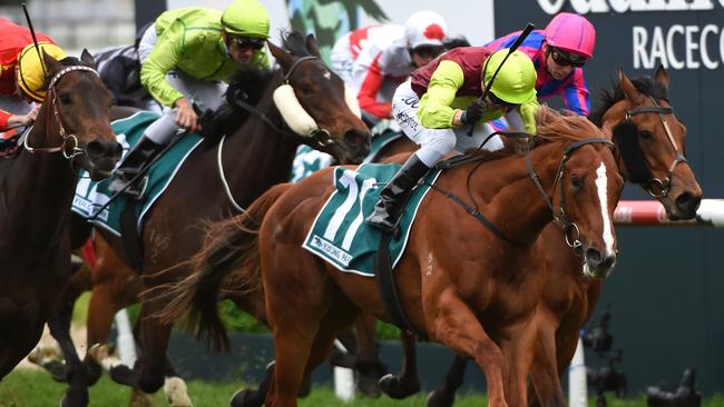 Sir Rupert Clarke Stakes: Ciaron Maher pays tribute to his staff after ...