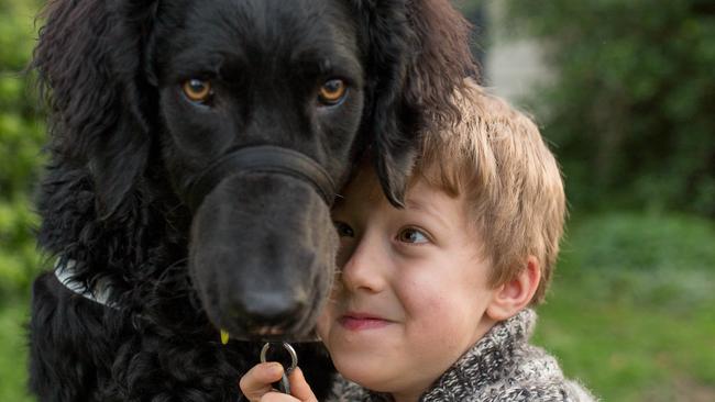 Henry Lee is taking the NDIS to court over his assistant dog, Black Betty the labradoodle. Pictures: Stefan Postles