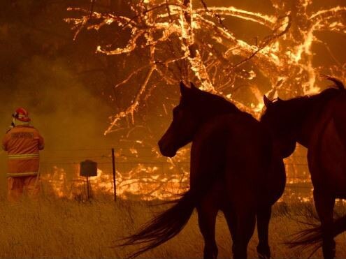 A fire approaches the property of the Bilpin Fruit Bowl. Photo Jeremy Piper