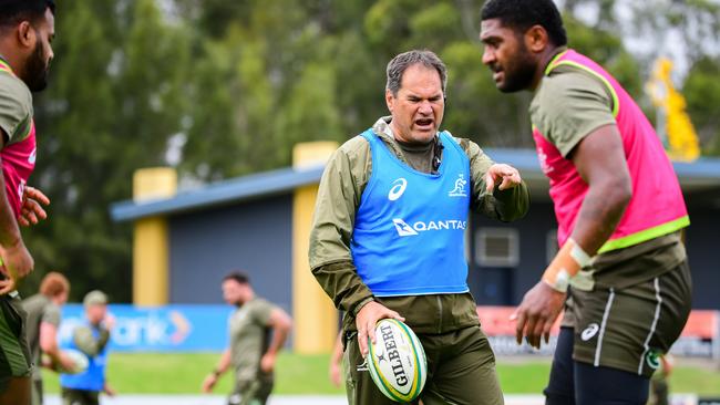 Dave Rennie’s Wallabies could attempt a Grand Slam tour. Picture: Stuart Walmsley