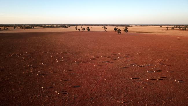 The drought has affected as much as 8000 farmers. Picture: Jonathan Ng