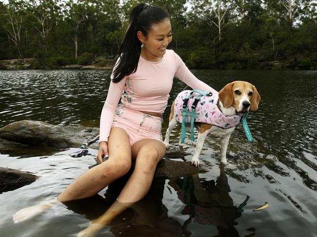 Karen Yang with her dog "Bagel" the Beagle, wearing his Stylish Hound swim jacket.  After Bagel  almost drowned in a swimming accident at Lake Parramatta, Karen and her partner came up with the idea of a Dog swim jacket. Picture: John Appleyardidea of the dog swim jacket.