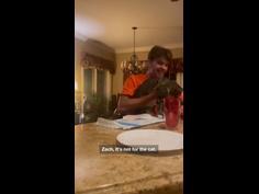 Brother thinks pregnancy-announcement onesie is gift for the cat
