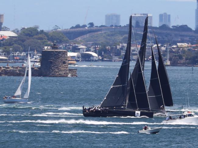 Boats with black sails  possably racing on Sydney Harbour seen from  Vaucluse  .picture John Grainger