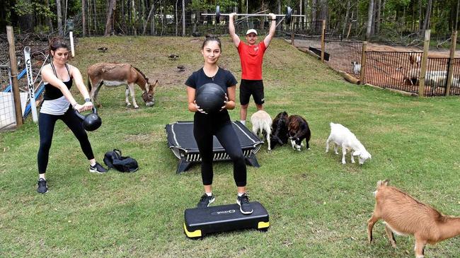 MAKING MOO-VES: Tanawha Farm Fit allows clients to exercise oustside alongside farm animals.Brittany-Jean Jones, Ella Tunbridge and Blake Jones working out on the farm. Picture: Warren Lynam