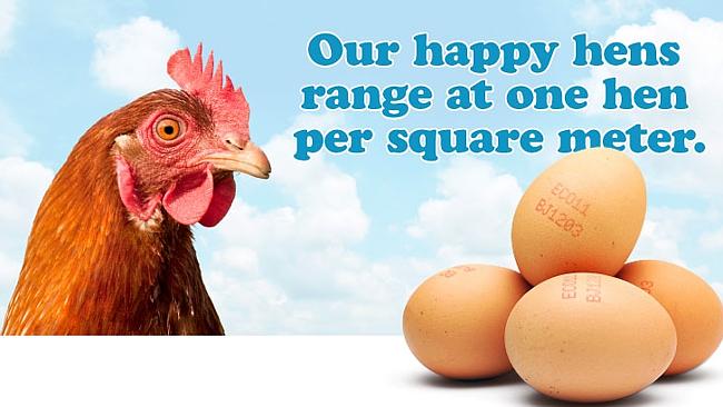 $300k fine for ‘free range’ claims