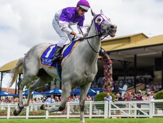 Cult racehorse The Candy Man wins the Magic Millions Shoot Out.