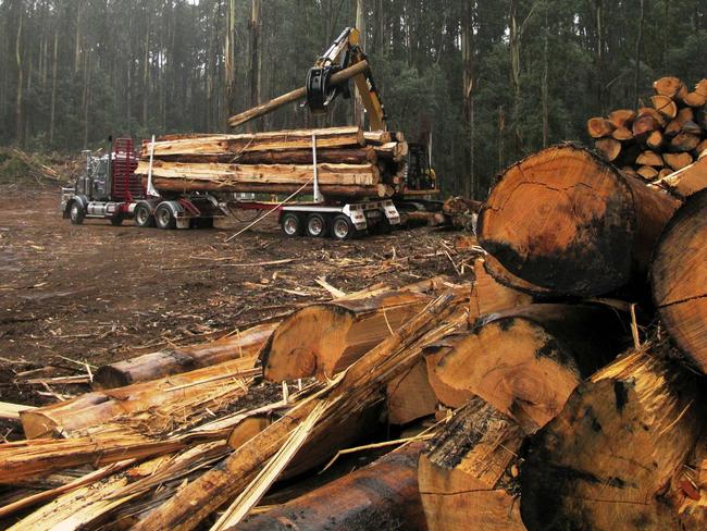 One of Perry Logging's Western star trucks loading up with timber in a logging coup in the Toolangi State Forest in Victoria.