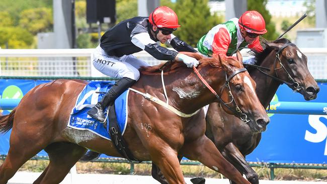 Royal Insignia winning at Caulfield Heath as his last start in November. Picture: Pat Scala/Racing Photos via Getty Images