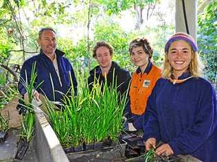 Green Army Supervisor Lucas Salmon from EnviTE with 2016 participants Guillaume Berthier, Sheba Martyn and Rosie Ronan.