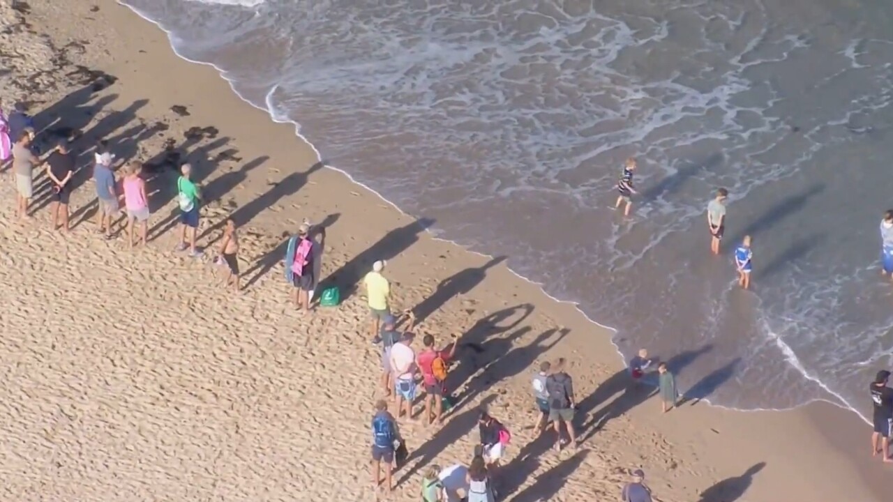 Swimmers and surfers frantically evacuate Manly Beach on Sydney’s