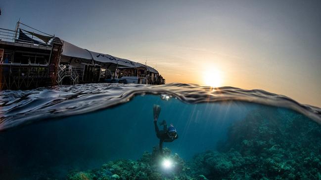 Scientists are working to ensure the sun doesn’t set on the life of the Great Barrier Reef.