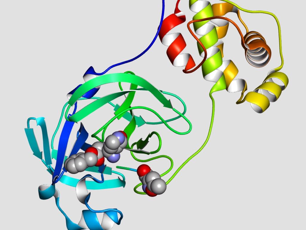 An image of taken by the Synchrotron.