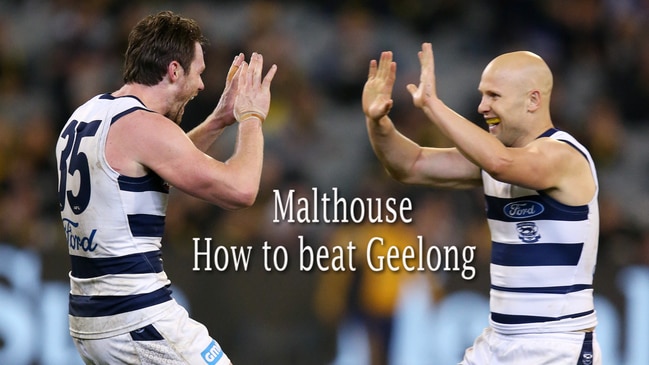 Malthouse: How to beat the Cats