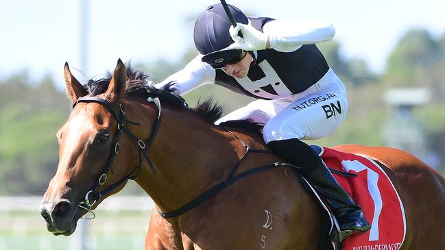 Isotope winning at the Sunshine Coast. Picture: Trackside Photography