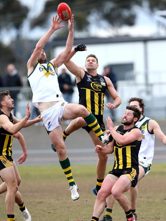 Trent West playing for Leopold in 2022. Picture: Mike Dugdale