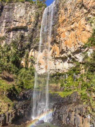 Purling Brook Falls. Picture: Simone Lennie