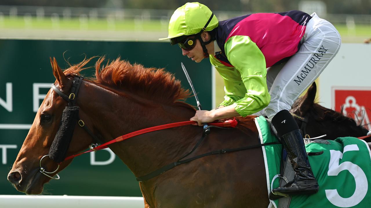 Jace McMurray guides Fiorsum Fred to victory in a Highway Handicap at Scone earlier this month. Picture: Getty Images