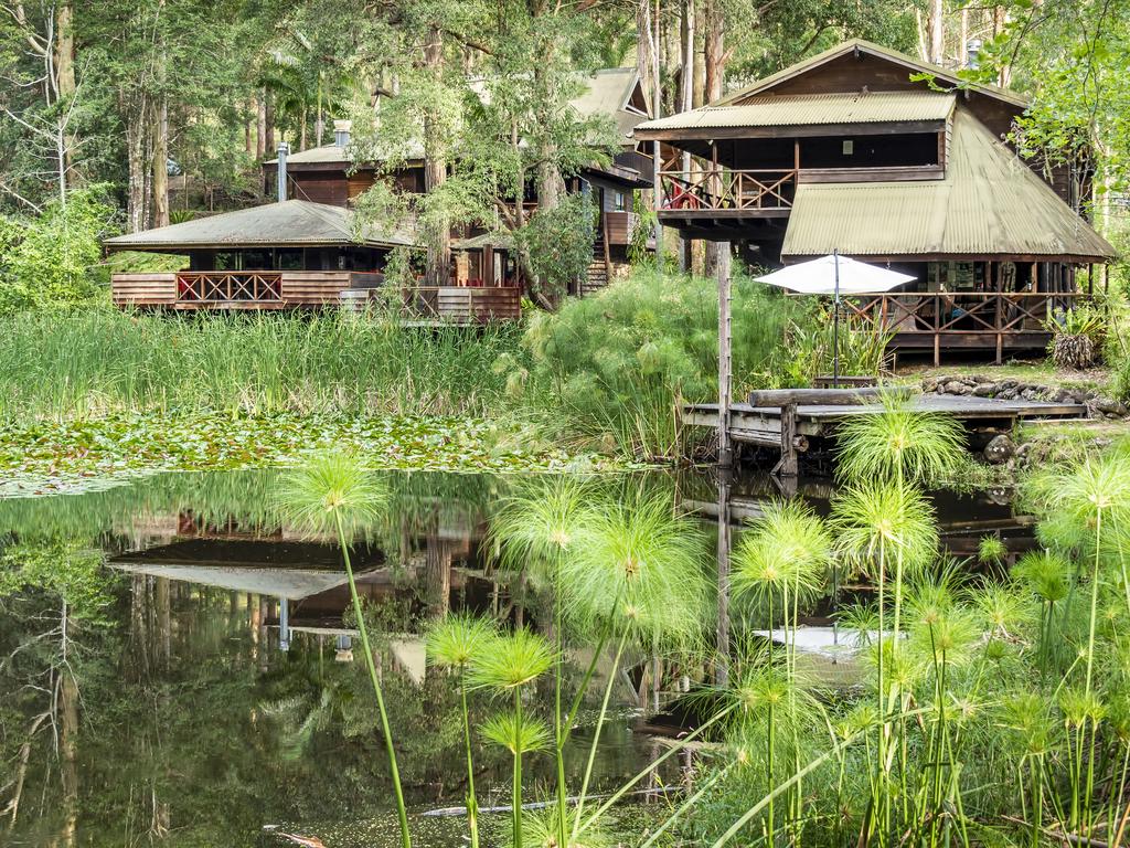 <span>15/21</span><h2>Barrington Tops</h2><p>Head to a retreat in the World Heritage-listed <a href="https://www.nationalparks.nsw.gov.au/visit-a-park/parks/barrington-tops-national-park" target="_blank">Barrington Tops</a> to get among the trees and fill your lungs with sweet forest air. With an onsite award-winning restaurant, let the hosts take care of you while you concentrate on bushwalks, catching the early morning mist in the valley, reading or swimming in the nearby water hole.</p>
