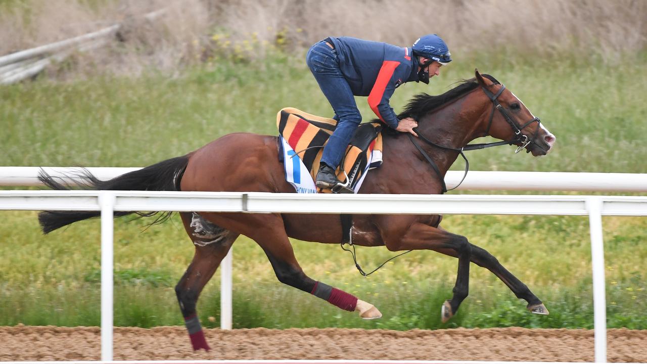 Werribee trackwork