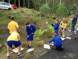 ENVIRONMENT EXCITEMENT: More than 200 children from primary schools across the Northern Rivers will celebrate World Environment Day at the Lismore Recycling & Recovery Centre on Wednesday June 7. Picture: Supplied