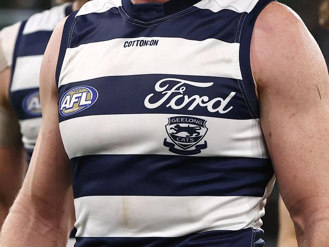 Geelong are one club currently being audited. Picture: Michael Klein