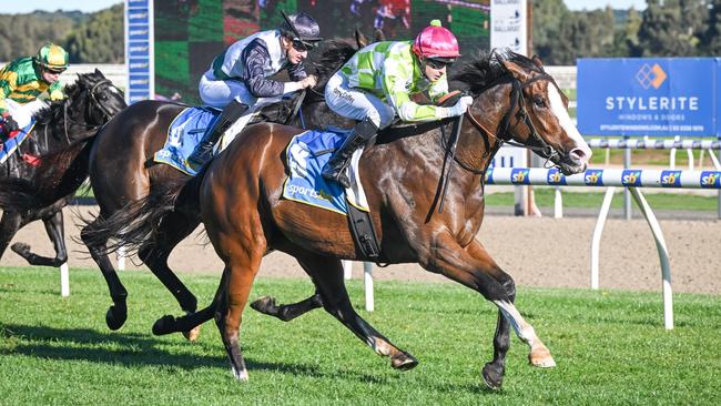 The Nigel Blackiston-trained Subrising is a great chance to complete successive wins when he heads to Caulfield on Saturday. Picture: Racing Photos via Getty Images.