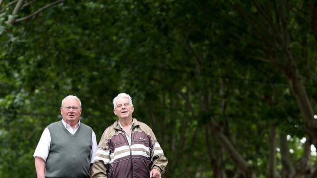 Theo Kondoyiannis and his neighbours are very upset about the street trees in Elm Grove Richmond - mainly about the pollen which he says causes a range of health issues. He wants the trees half cut down, so there is less pollen.Pictured is left George Ganas and Theo Kondoyiannis with Asprouli his dog who has also suffered with Pollen allergies Picture: Mark Wilson