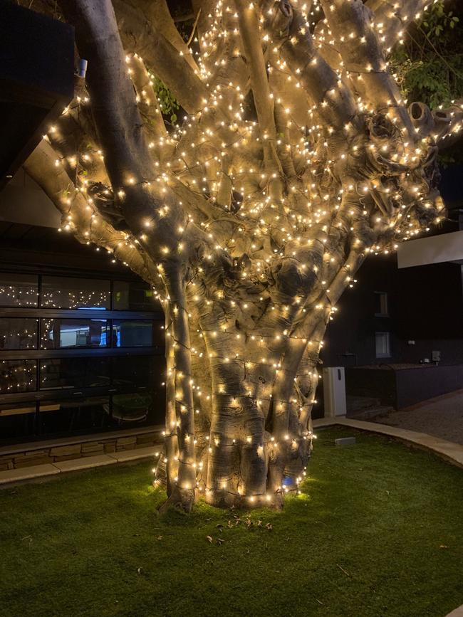 Trees along the 1km strip have been wrapped in thousands of meters of fairy lights.