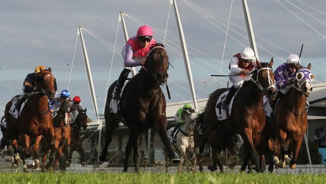 Stood down: Tommy Berry wins on Trumbull at Rosehill Gardens.