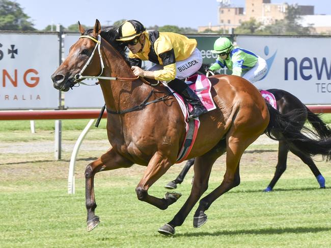 Shayne O’Cass’ tips, analysis for Wyong on Saturday