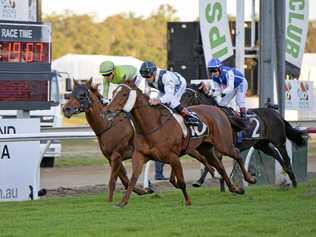 Excitement is building for the 2019 Ipswich Cup after last year's big race continued fine traditions. Picture: Cordell Richardson