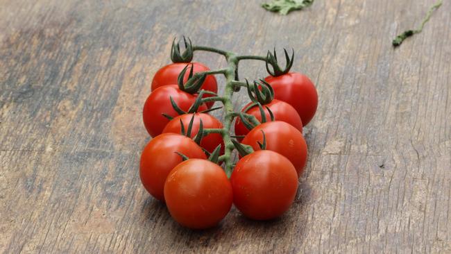 Tomatoes have been linked to healthier sperm. Picture: Lyndal Reading