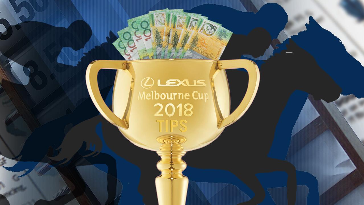 See who experts and celebrities are tipping to win the Melbourne Cup in 2018.