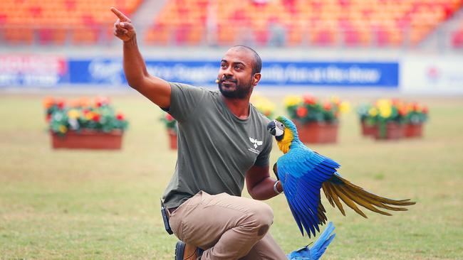 Ravi Wasan and his macaws at the Sydney Royal Easter Show this year. Picture: Phil Rogers