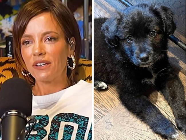 Lily Allen has defended herself after copping backlash over her admission she returned a new puppy to the shelter.