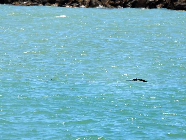 Wildlife Management patrolling the Strand after reports of a crocodile sighting. Picture: Alix Sweeney