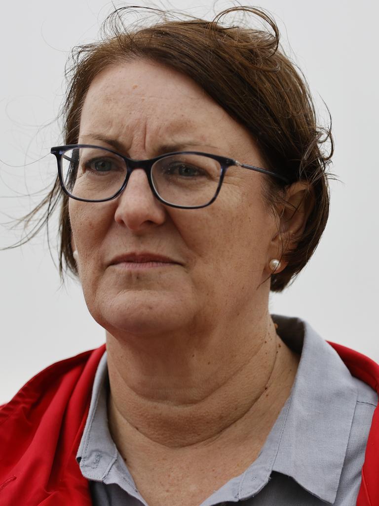 Labor member for Macquarie Susan Templeman. Picture: Tim Hunter